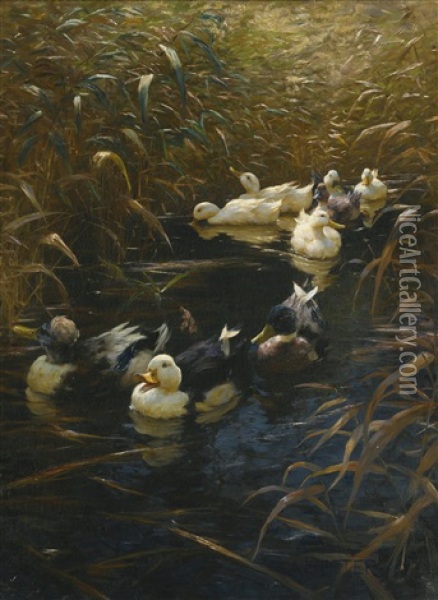 Ducks In Autumn Oil Painting - Alexander Max Koester