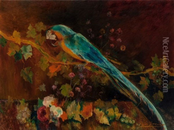 Still Life With Macaw Oil Painting - Luis Graner y Arrufi