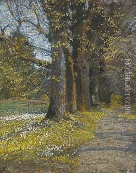 A Lime Tree Alley Oil Painting - Adolf Gross