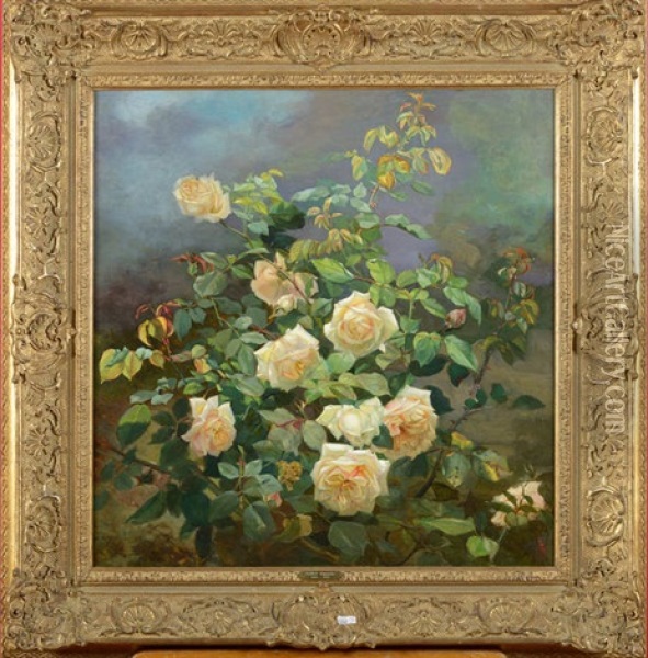 Gerbe De Roses Blanches Oil Painting - Alexandre Debrus