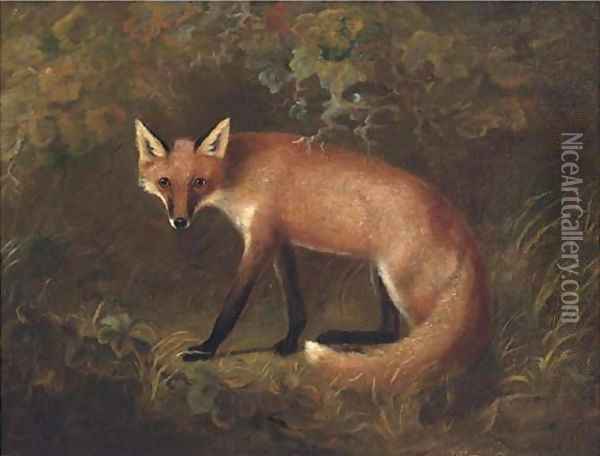 A fox in shrubbery Oil Painting - John Snr Ferneley