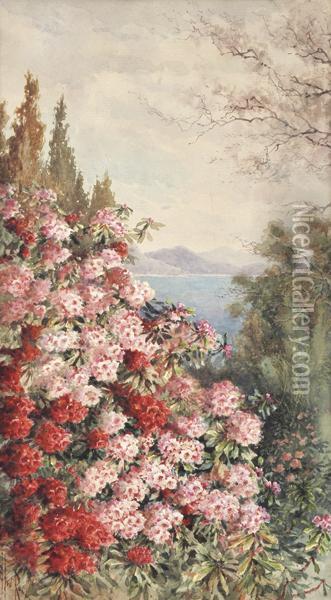 Rhododendrons By The Beach Oil Painting - Marian Ellis Rowan