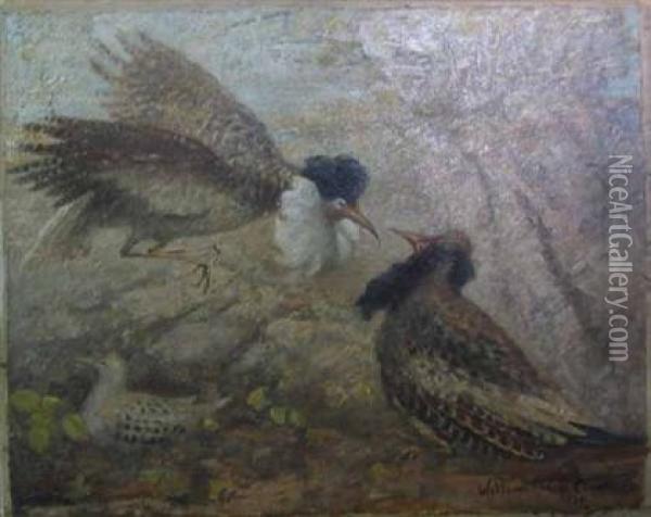 Ruffed Grouse Oil Painting - William Ernest Chapman