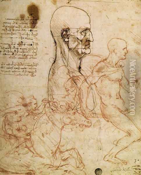 Sketches for The Battle of Anghiari 1504-6 Oil Painting - Leonardo Da Vinci