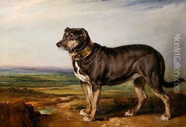 Portrait of Vic, a Spanish Bloodhound, c.1818-20 Oil Painting - James Ward