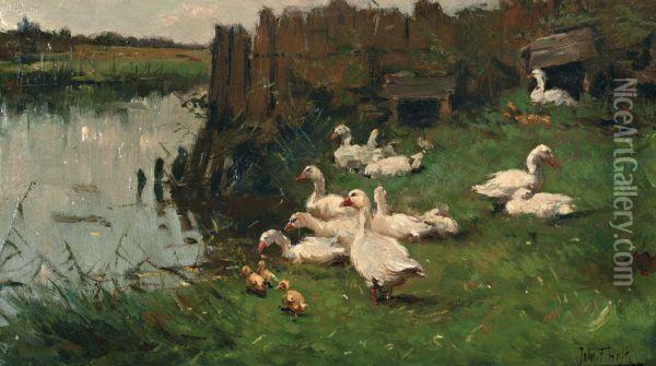 Ganzenfamilie In Het Gras Aan De Waterkant Oil Painting - Frederick Hulk Johannes