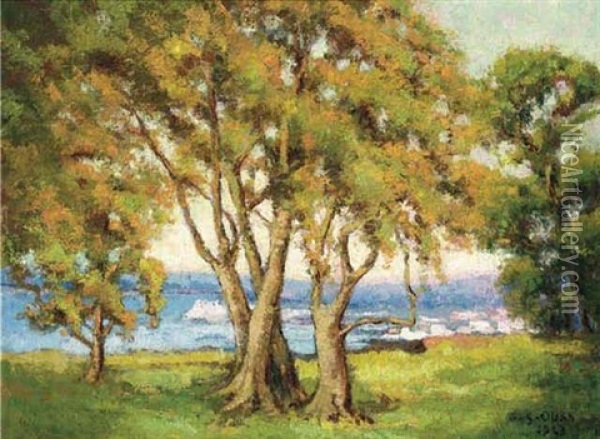 Trees On The Coast Oil Painting - Julius Olsson