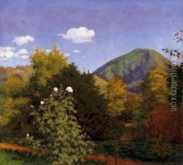 Landscape Of Nagybanya With The Kereszthegy Oil Painting - Samu Bortsok