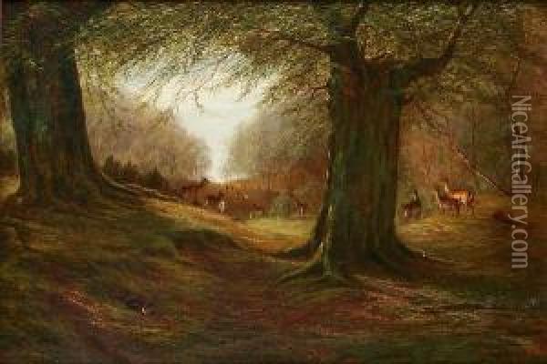 Deer And Rabbits In A Woodland Glade Oil Painting - William Snr Luker