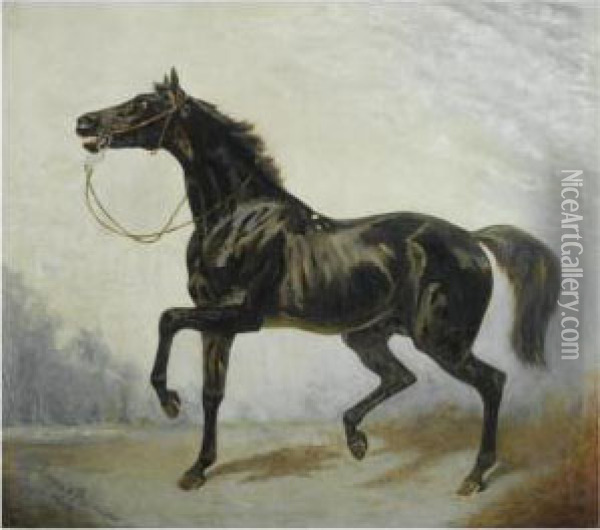 A Dark Bay Horse In An Extensive Landscape Oil Painting - James Lynwood Palmer
