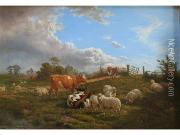 Cattle And Sheep In A Field Oil Painting - Henry Birtles