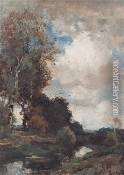 Landscape (no. 506) Oil Painting - Theophile De Bock