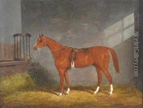 Bay Horse In A Stable Oil Painting - James Loder Of Bath