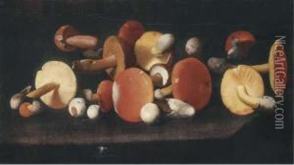 Boletus, Russulas And Other Mushrooms On A Ledge Oil Painting - Paolo Porpora