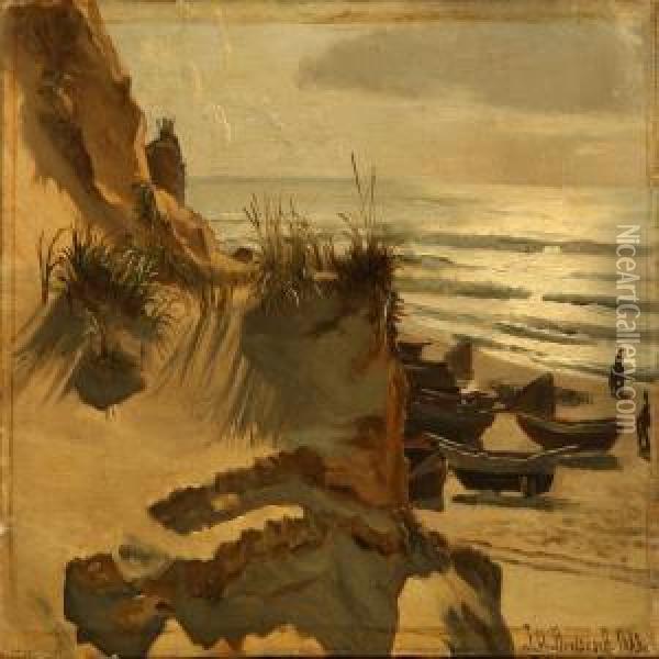 View Of A Danish Beach In The Evening Sun Oil Painting - Johan Ulrik Bredsdorff