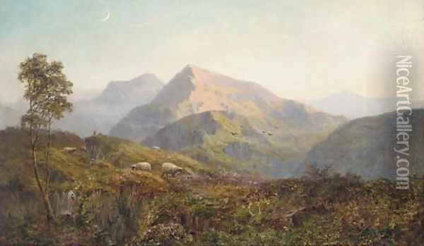 Sheep in a Highland landscape, evening Oil Painting - Alfred de Breanski