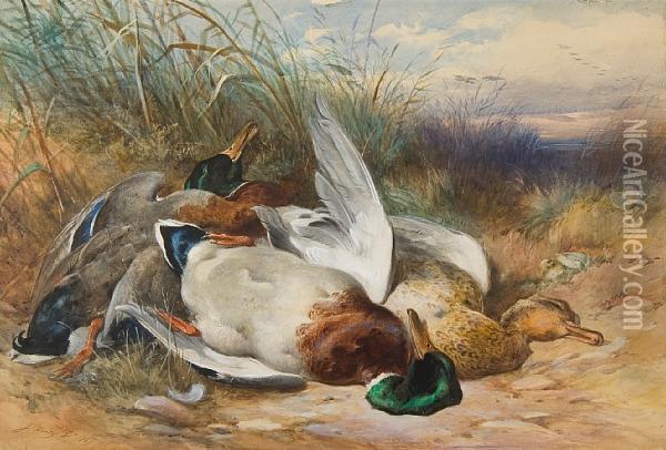 Still Life Of Wildfowl Upon Sand Dunes Oil Painting - James Jnr Hardy