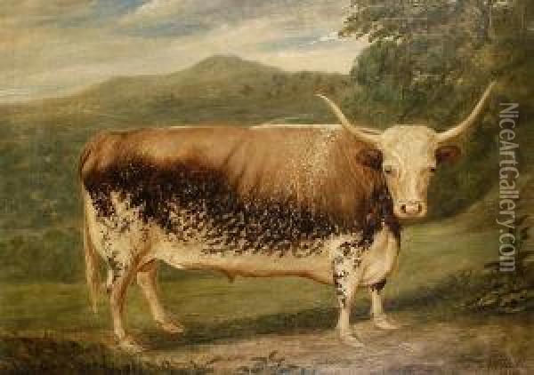 A Long Horned Bull In A Landscape Oil Painting - E.F. Welles