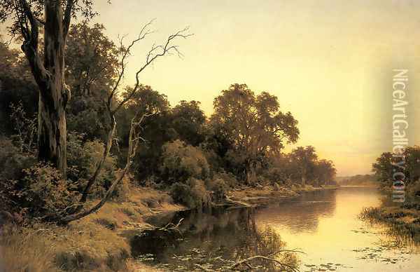 A Backwater of the River Murray, South Australia Oil Painting - Henry James Johnstone