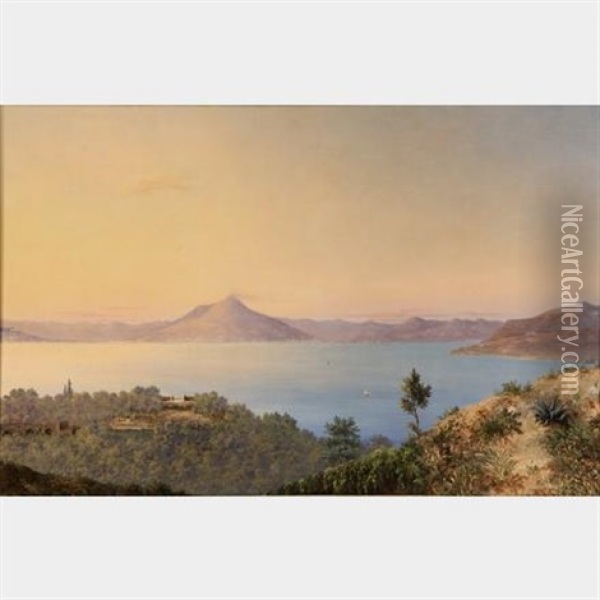 View Of Naples And Vesuvius From Capri Oil Painting - Abigail Osgood Williams