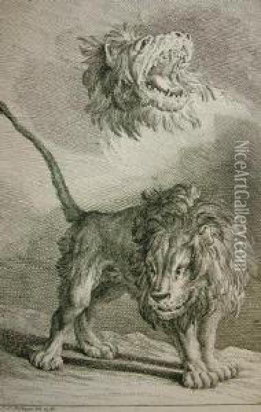 Lion Studies Oil Painting - Johann Elias Ridinger or Riedinger