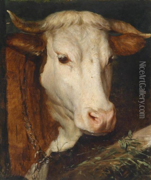 Cow Oil Painting - Julie Menzel