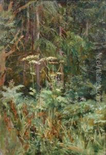 Woodland Scene With Cow Parsley Oil Painting - Isa Thompson
