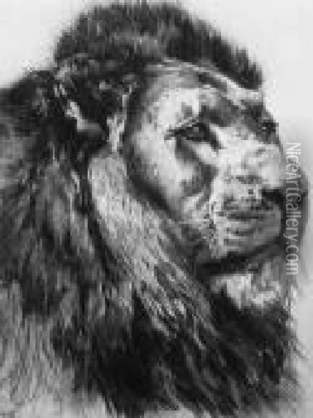 Lion's Head Oil Painting - Herbert Thomas Dicksee