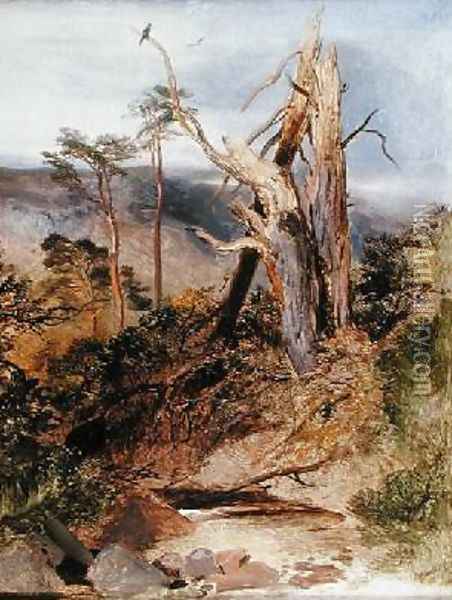 Highland Landscape with Split Scotch Pine Oil Painting - Sir Edwin Henry Landseer