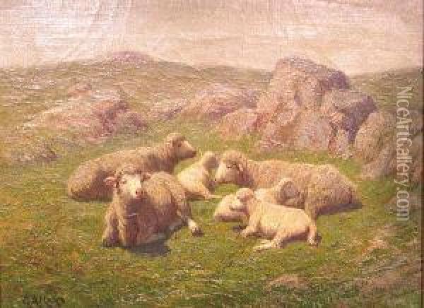Sheep Resting On A Rocky Hillside Oil Painting - George Arthur Hays