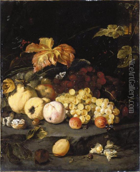 A Still Life With Summer Fruits 
Including Apples, Grapes, A Peach, A Plum, Blackberries, Hazelnuts, 
Walnuts And Other Objects, All Arranged On A Stone Ledge Oil Painting - Jan Weenix