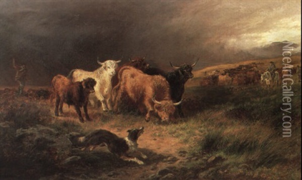 Herding Highland Cattle Oil Painting - Henry Garland