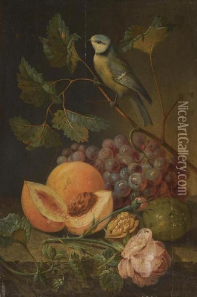 Still Life With Grapes And Apples And A Crested Tit Oil Painting - Johann Nepomuk Mayrhofer