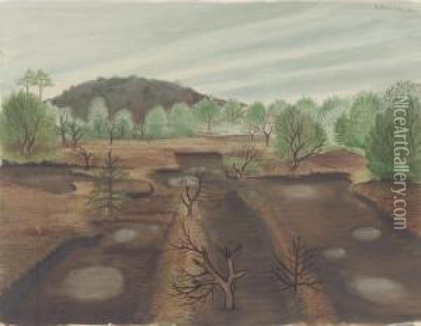 Niedersachsische Moorlandschaft Oil Painting - Hans Mertens