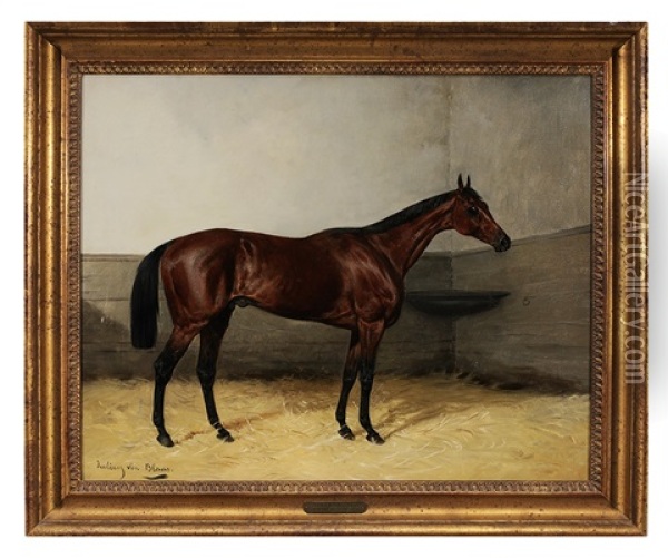 Portrait Of A Horse In A Loose Box Oil Painting - Julius von Blaas