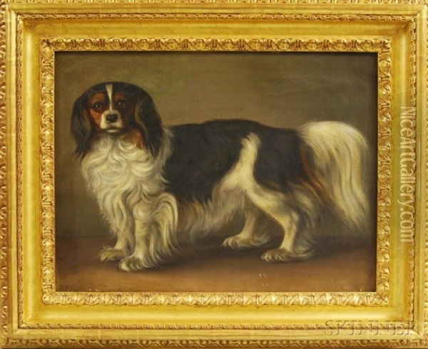 Portrait Of A King Charles Spaniel Oil Painting - N. A. Luetzen