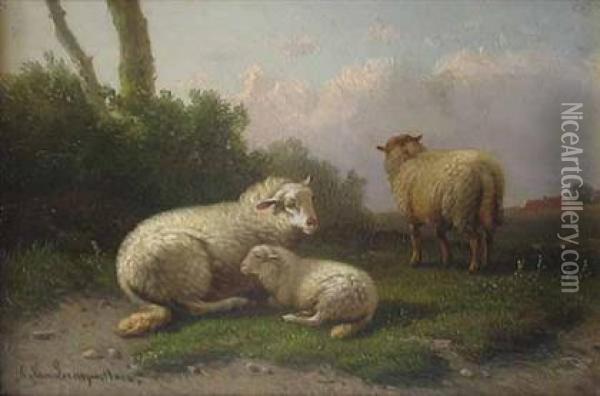 Sheep At Dusk Oil Painting - Cornelis van Leemputten