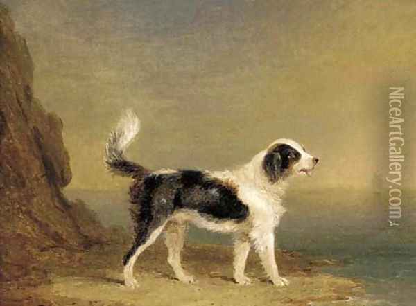A dog on a beach Oil Painting - English School