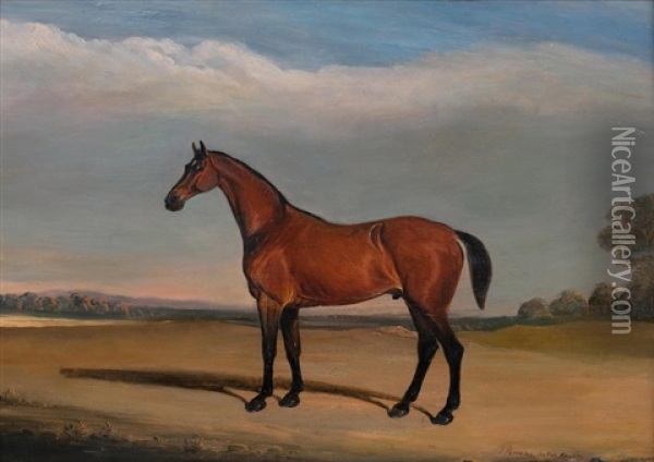 Portrait Of A Bay Horse In Melton Mowbray Landscape, 1835 Oil Painting - John E. Ferneley