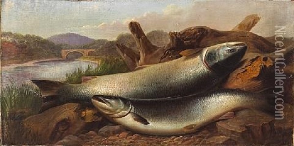 Two Salmon On A Riverbank Oil Painting - John Bucknell Russell