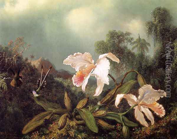 Jungle Orchids And Hummingbirds Oil Painting - Martin Johnson Heade