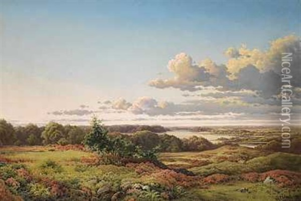 Udsigt Over Tjustrup So, I Baggrunden Naesbyholm Og Bavelse Skove Oil Painting - Peter Olsted
