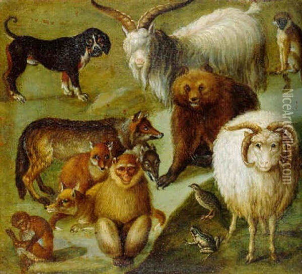 A Dog, Goat, Monkeys, Foxes, Bear, Frog, Swine, And A Ram Oil Painting - Carl Borromaus Andreas Ruthart