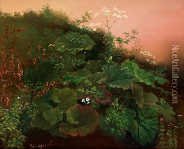A Study Of Plants, Tivoli Oil Painting - Gustaf-Wilhelm Palm