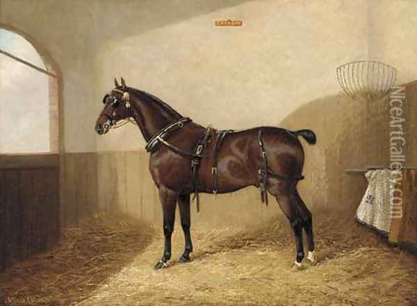 Goodboy, a harnessed liver chestnut in a stable Oil Painting - A. Clark