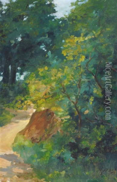 Sunlit Forest Trail Oil Painting - Thomas Herbst