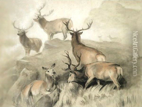 Some Of The Best Harts In The Forest Oil Painting - Sir Edwin Henry Landseer