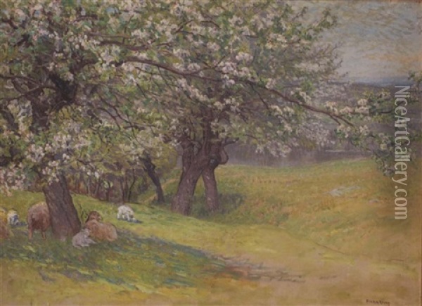 A Rolling River Landscape With Sheep Under The Apple Blossoms Oil Painting - John Joseph Enneking