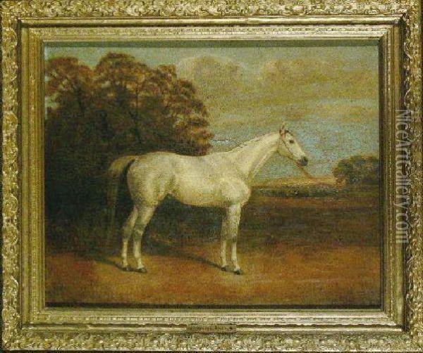 Horse Portrait Oil Painting - Henry R. Hall