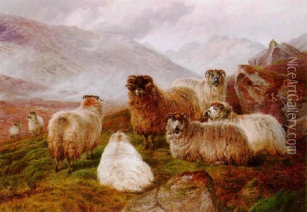 Sheep In A Valley Oil Painting - Charles Jones